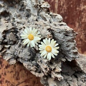 vintage clip earrings, 3/$10